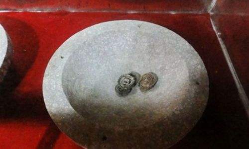 云南蛇蛊,云南虫谷的蛇蛊