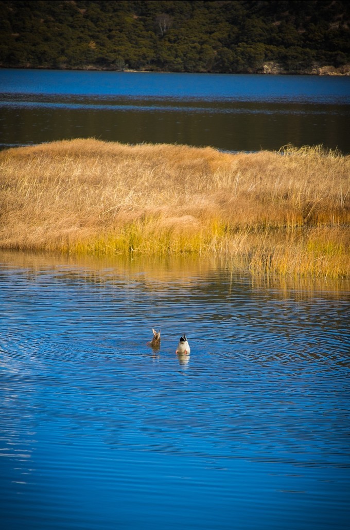 消失的地平线上的“香巴拉”和“女儿国”（二）