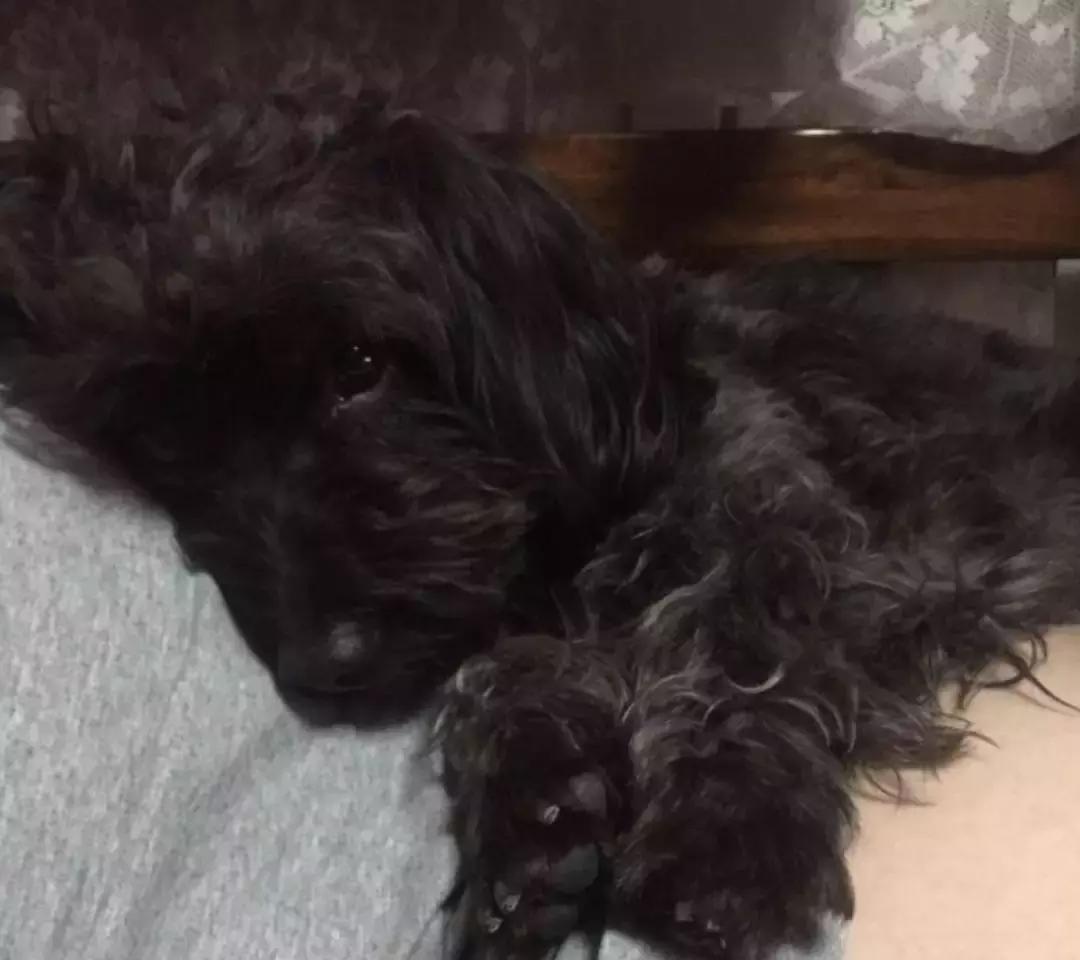 谢谢你治好了我的心脏,谢谢你治好了我的低血压