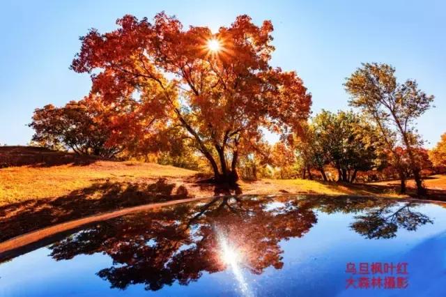 美丽的内蒙通辽,通辽最美的风景
