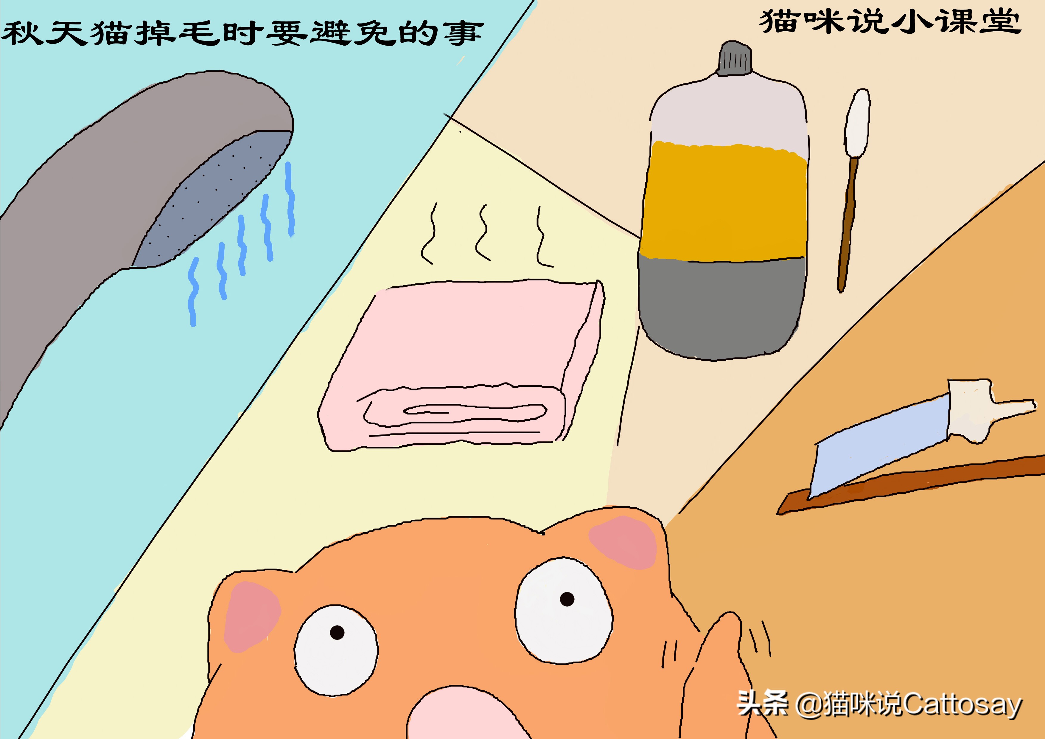 秋天猫容易掉毛不,秋天猫掉毛严重怎么办