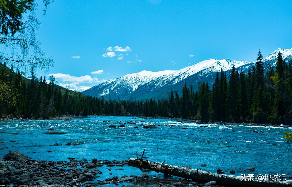 *疆新**:随着环境慢慢变好,*疆新**正在迎来复苏,该不该人工干预