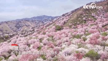 疫情过后再去看看风景,疫情结束后的人间仙境
