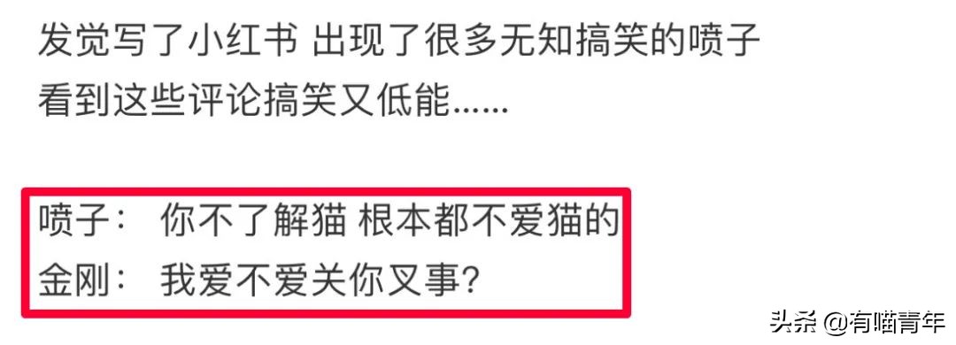 网红绑猫*藏西**骑行求关注,遭网友质疑回怼:比在家里刺激多了