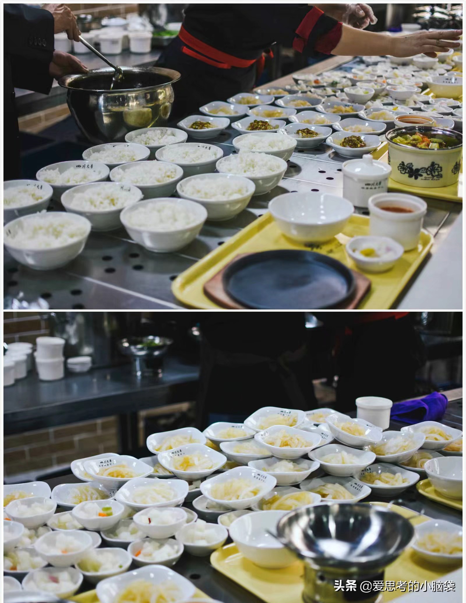 川大真实情况,川大人