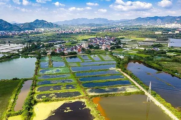 杭州西湖足球场,杭州富阳免费足球场