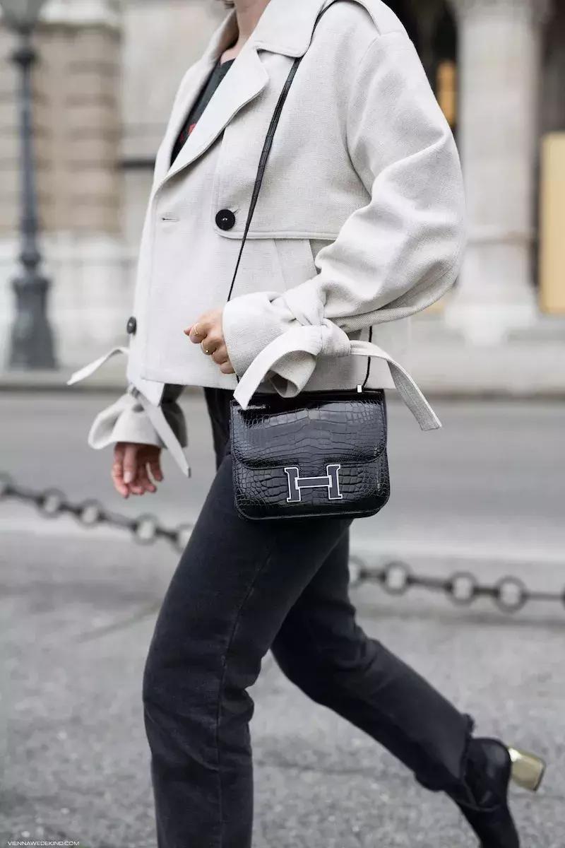 张智霖说袁咏仪爱马仕,张智霖买袁咏仪包包