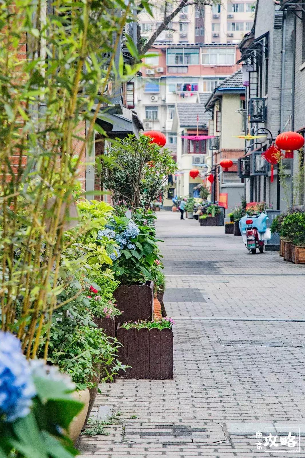 慧园里,南京城中,时光交错的角落