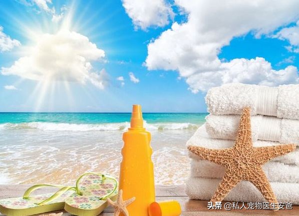 我们经常使用的护肤品，对猫咪有害吗？