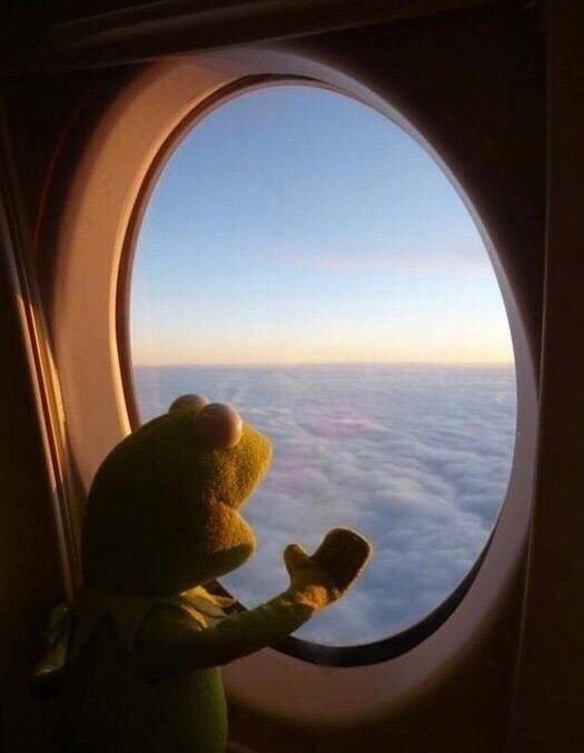 一起来和Kermit潮蛙学习游客照的正确拍摄方式！