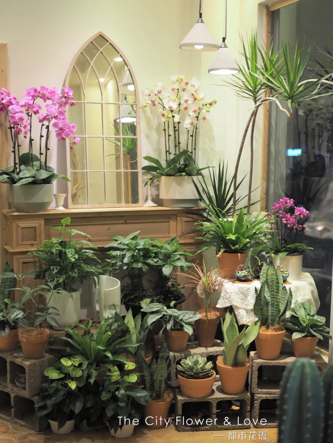 都市花语：从10平方米的小花店，到年营业额300万的生活美学馆