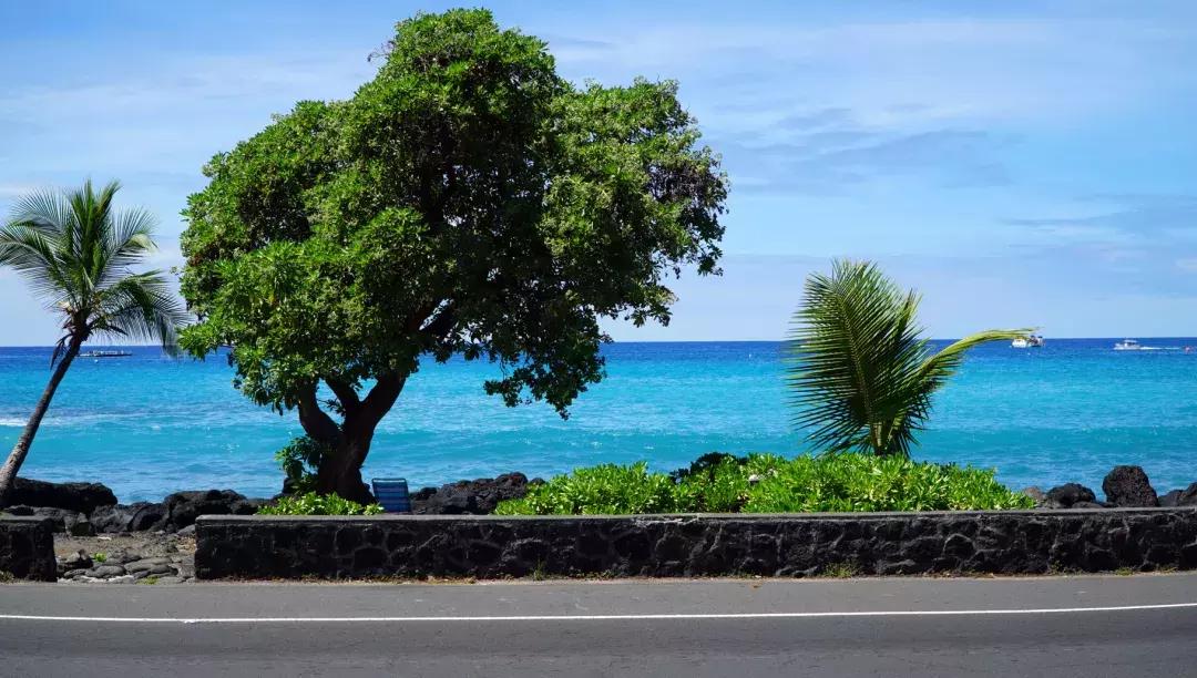 夏威夷大岛自驾游游记,大岛夏威夷岛七日游
