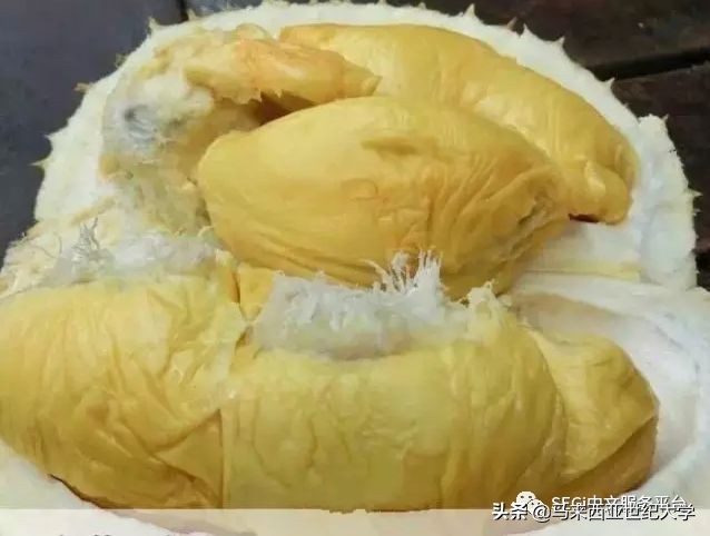 马来西亚榴莲品种大全,马来西亚d14榴莲是什么品种