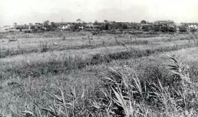 记忆中的常州味道,老常州记忆80年代
