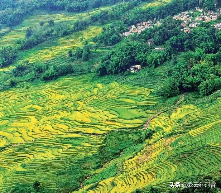 红河州森林氧吧景区,云端氧吧