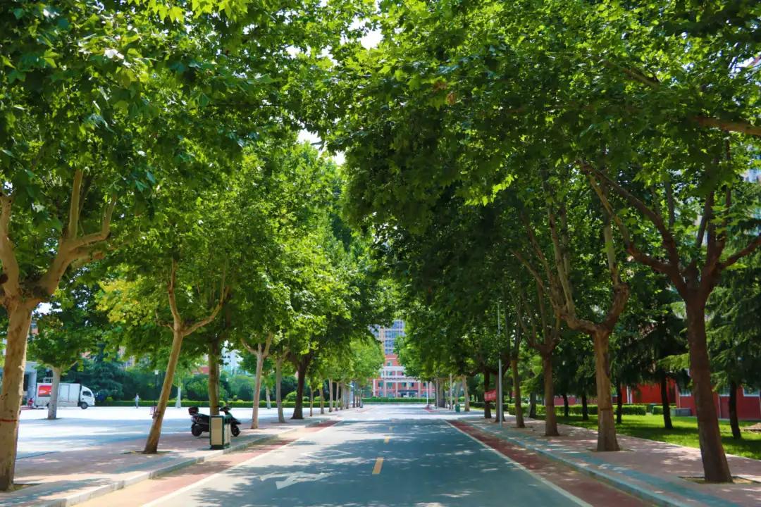 西安在高新区的大学,2020西安高新一中清华北大