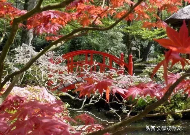 日本最有名枯山水庭院,日本枯山水效果图