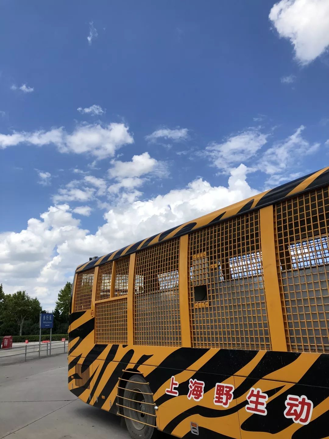 上海动物园打卡攻略,上海野生动物园的旅游路线示意图