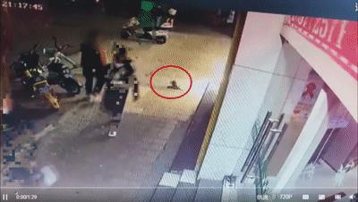 男子当街踢死小猫确认死亡后离开,广西男子一脚踢死小猫后续