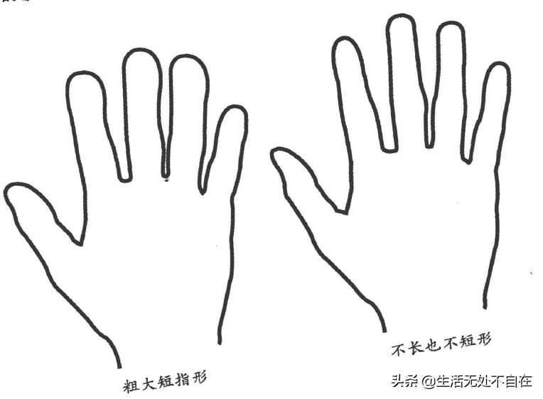 五指对应的五脏的位置,五只手指代表五脏哪个部位