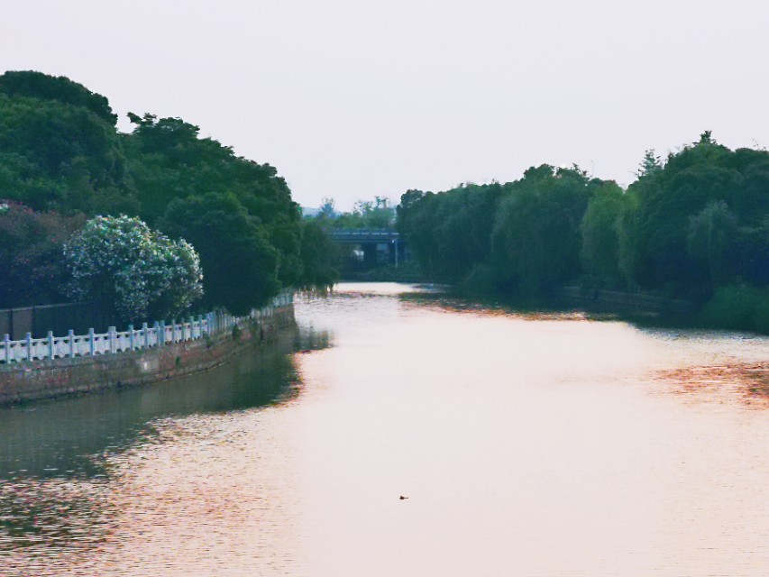 嘉兴义庄南公园,嘉兴义庄公园