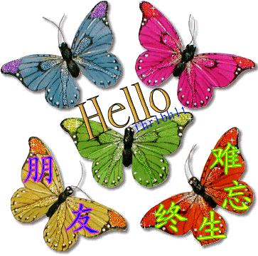 久久的挂念久久的祝福,久久的欢乐久久的祝福原唱