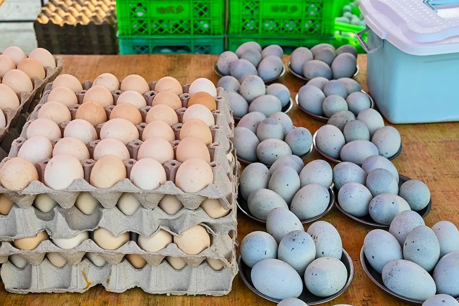 满满的烟火气逛大集真好玩,最值得逛的大集