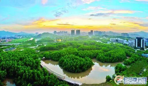 惠阳淡水片区和大亚湾哪个好,惠州大亚湾未来10年发展前景