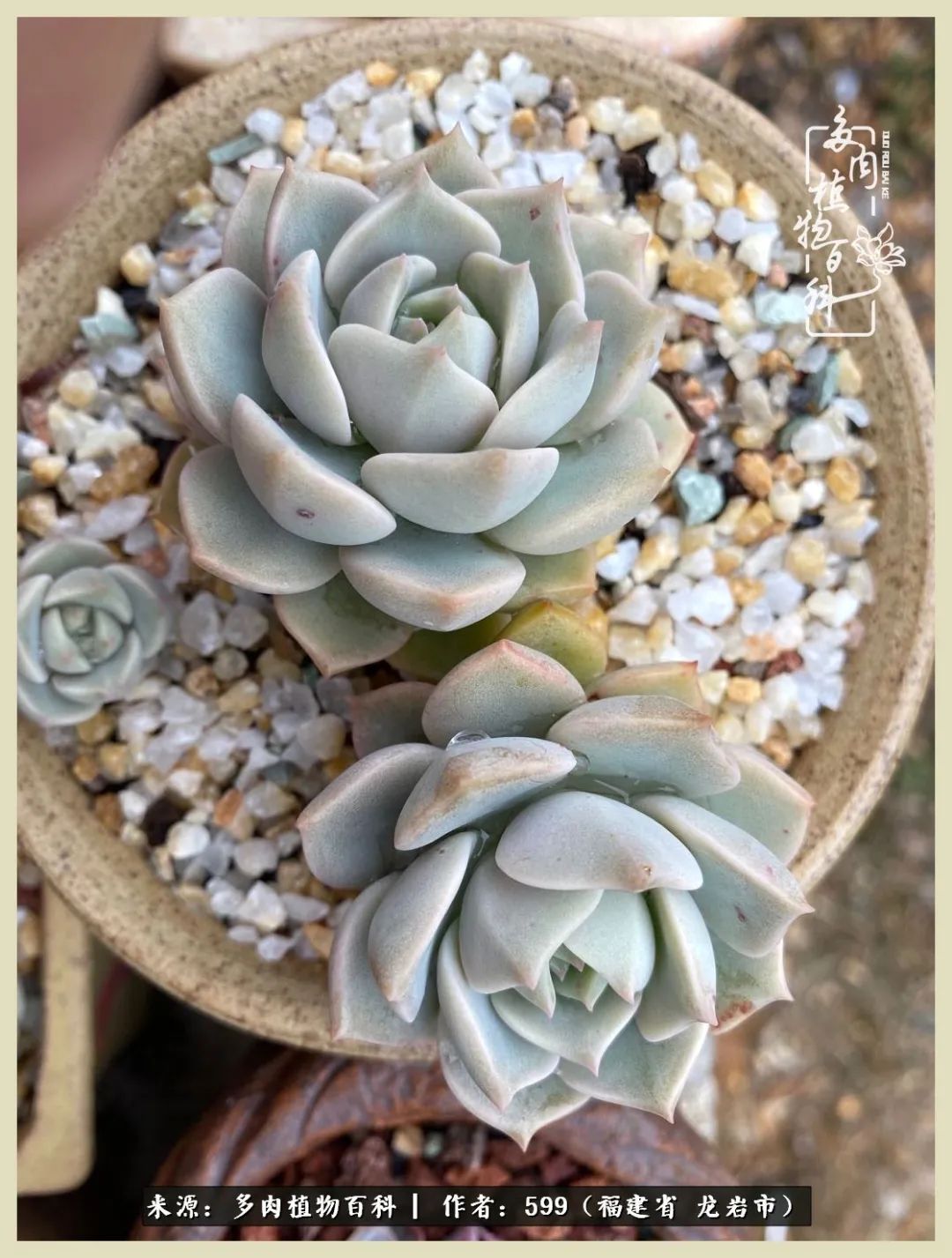 所有的热爱都不遗余力,所有的忙碌都是因为热爱