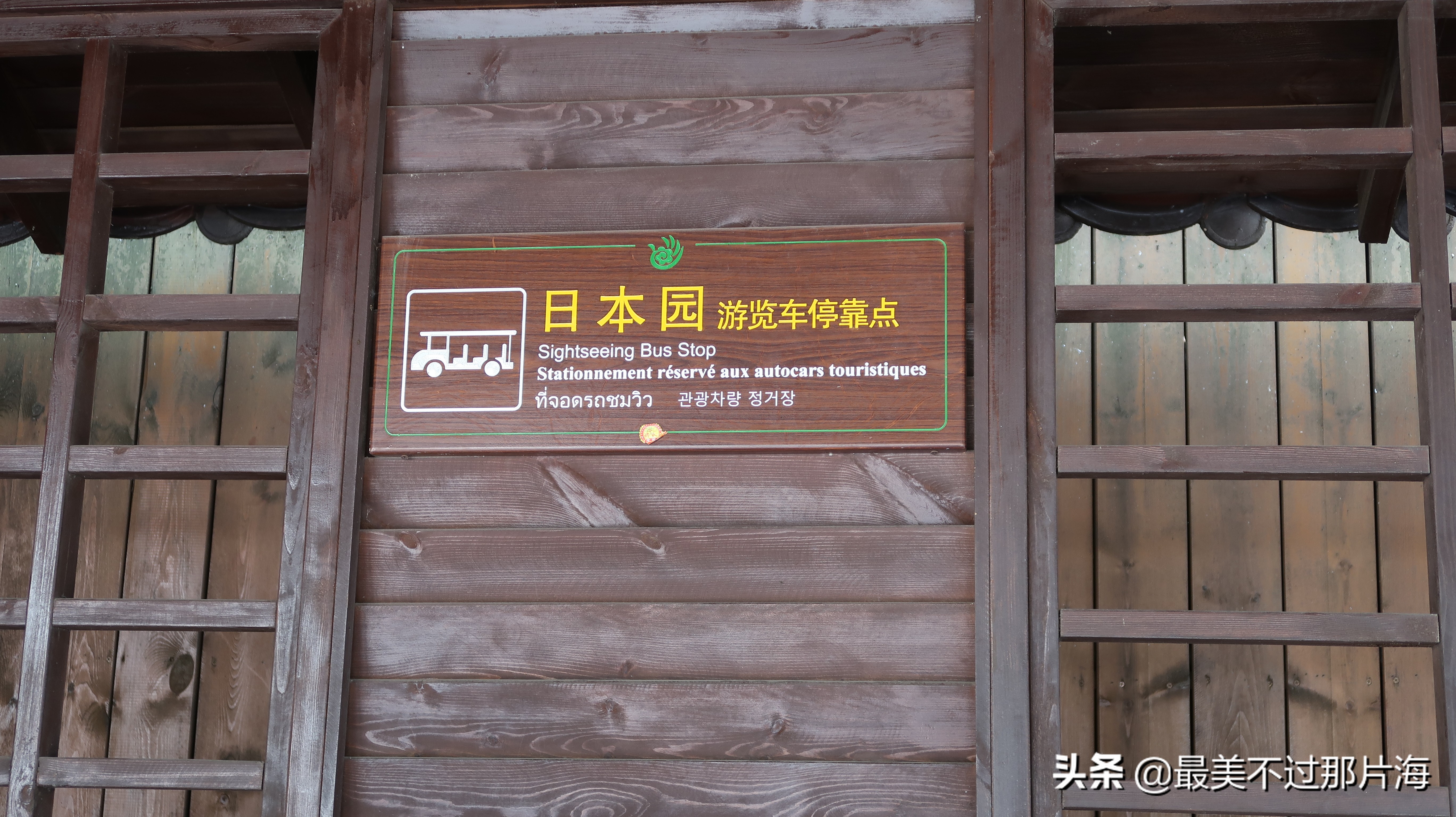 昆明世博园和云南大观园游玩攻略,昆明有个世博园四季如春好地方