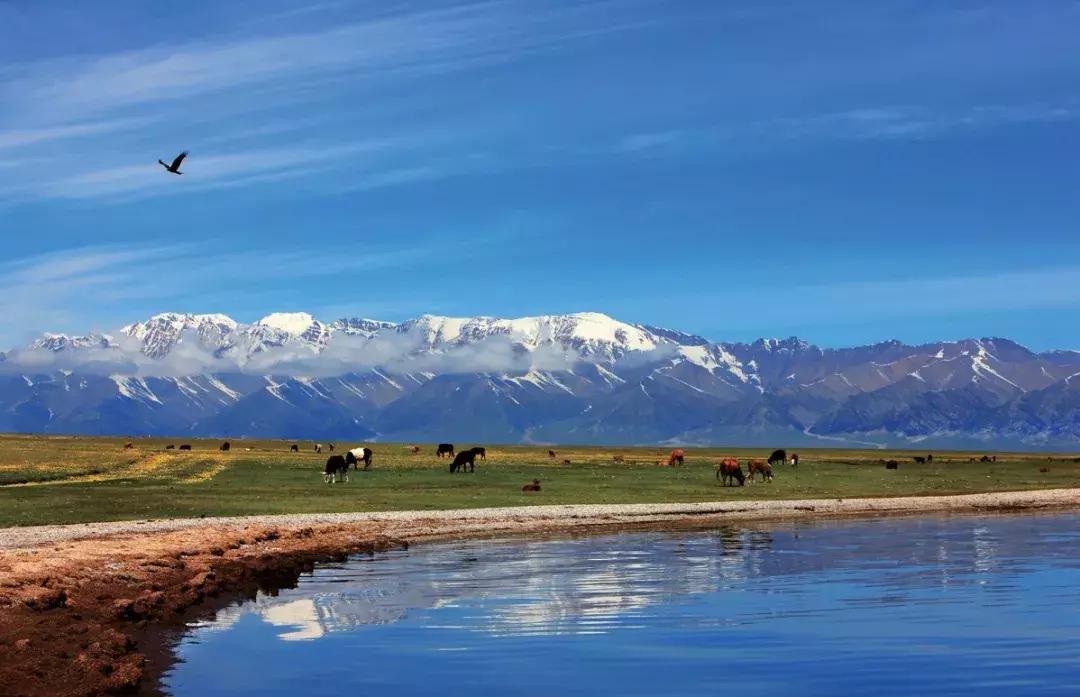 照片好不好看不重要姿势很重要,照片特别好看不知道该选哪个了