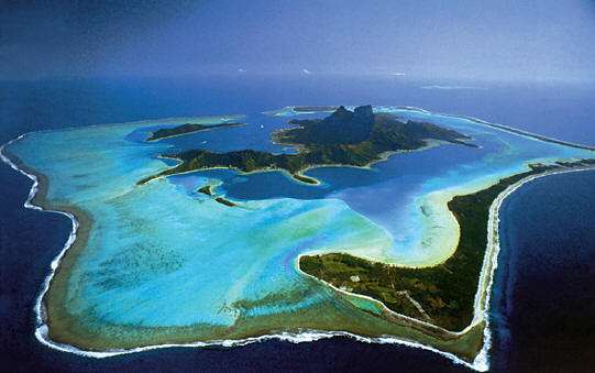 儿童致命的水生物有哪几种？看这篇就够了