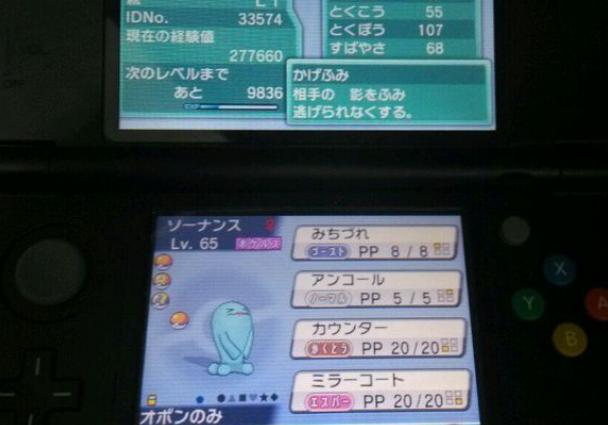 精灵宝可梦里的有趣事件,奇闻趣事精灵宝可梦真的存在吗