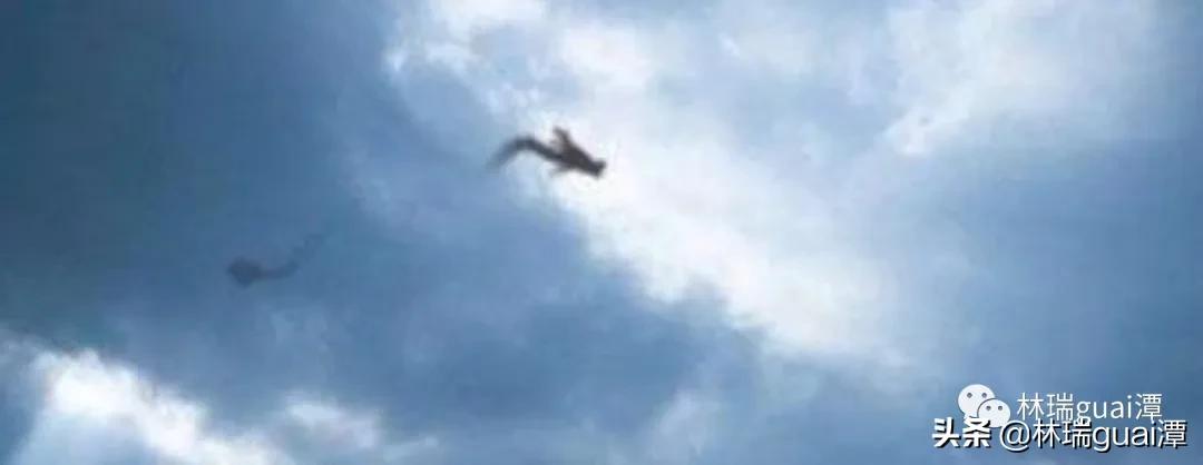 龙真实存在吗天涯论坛,龙真实存在的神评论