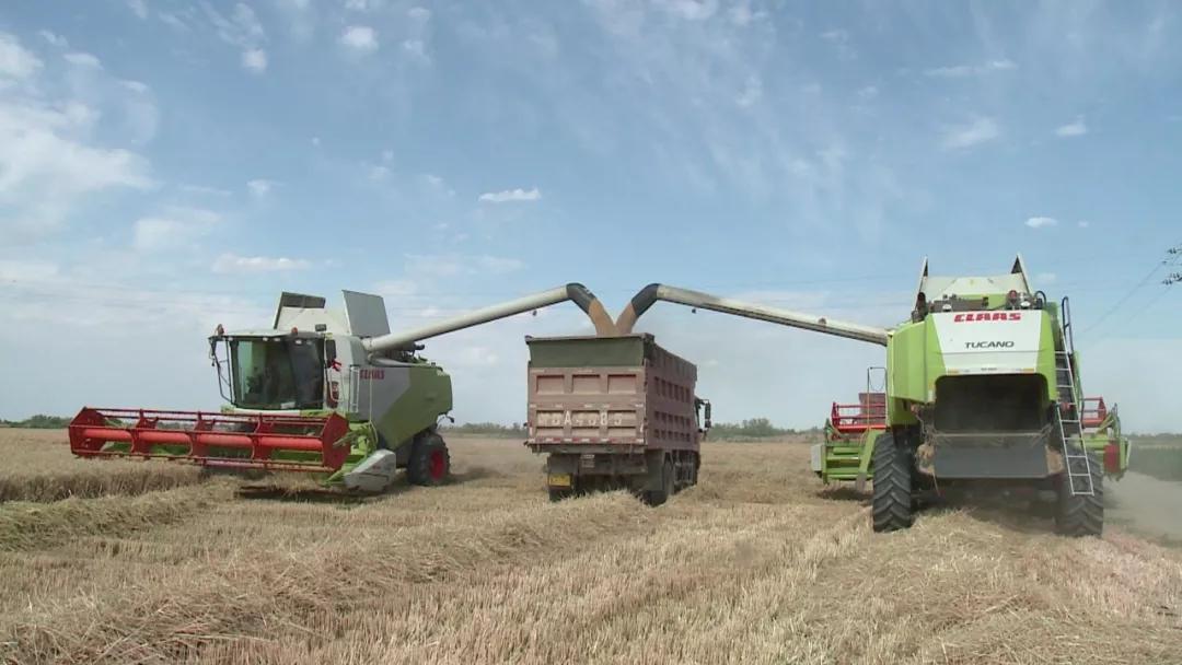 新疆落实六稳六保工作任务,落实六稳六保的视频