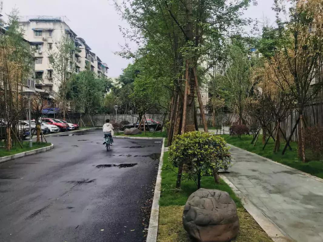 乐山即将打造的公园,今日视点四川