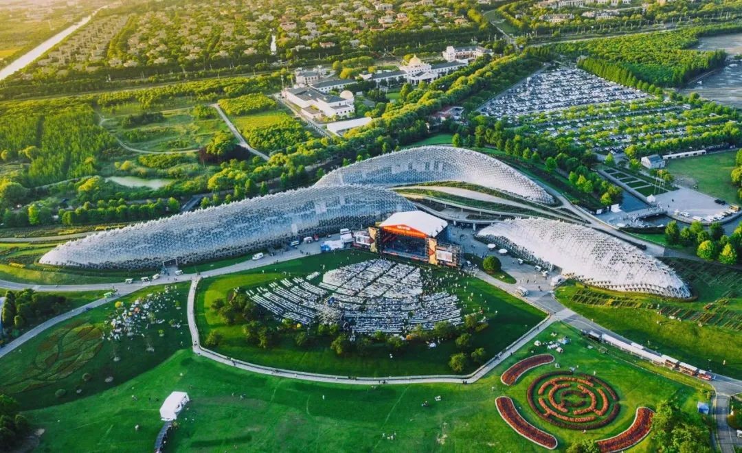 他出生河南，双一流博士毕业，手握国家级荣誉，还是上海市专门引进的人才！