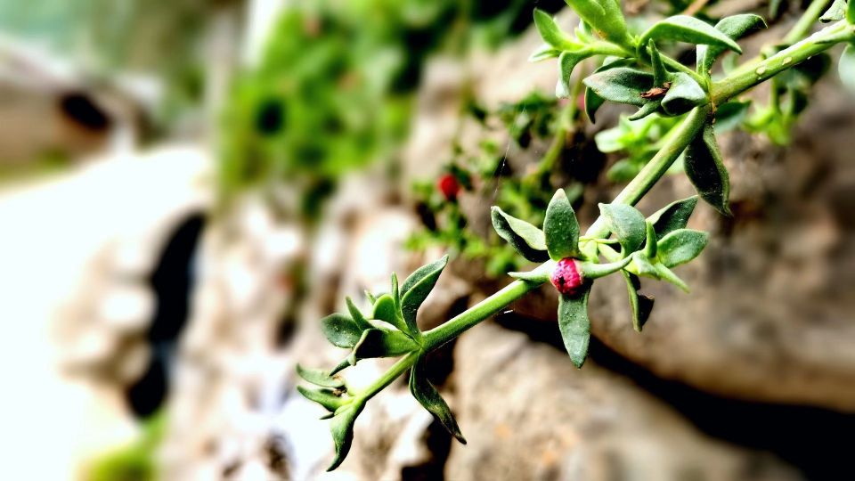 爱一个人的最好方式就是成全他,爱一个人最好的方式是心疼是付出