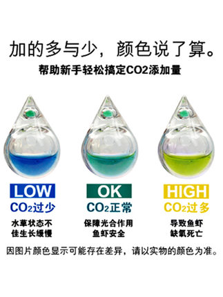 养米虾的流程和方法,养米虾用什么过滤