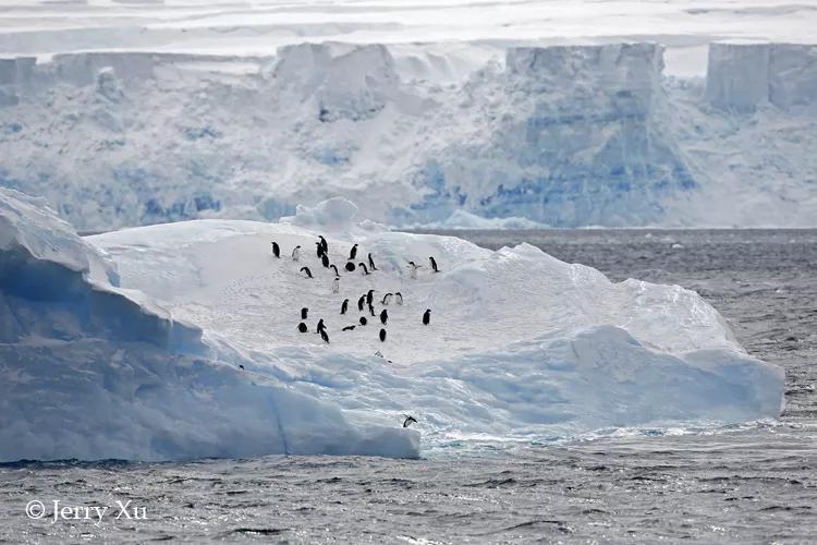 瀹氬埗鍒涙剰鏃呰,鍒涙剰瀹氬埗鏃呰