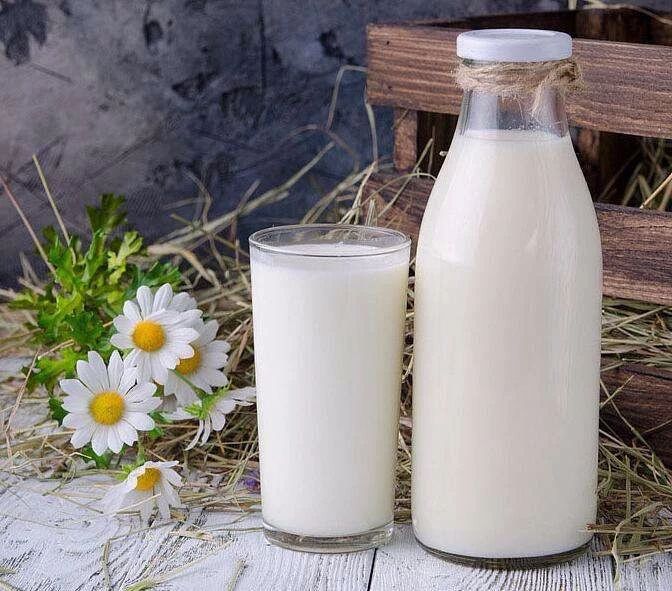 小奶猫喝了羊奶拉稀怎么办,奶猫喝凉牛奶会拉稀吗