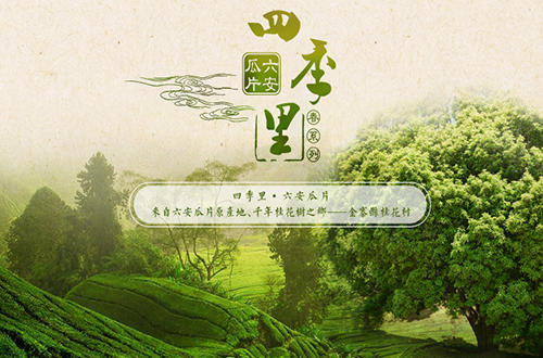 中国十大名茶六安瓜片产地,六安瓜片中国十大名茶之一