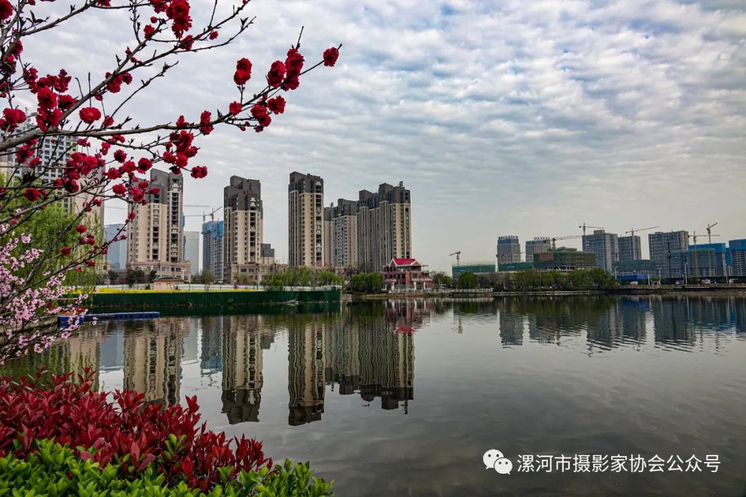 抗击新冠疫情专题展,抗击疫情专题展开展