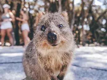 Get《妻子的浪漫旅行》同款行程，带上姐妹团浪起来呀