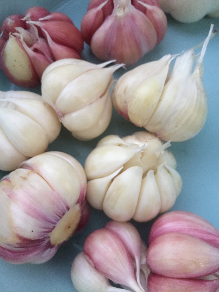 泡糖蒜的视频,泡糖蒜的最佳比例