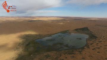 陪伴4-14岁孩子的最好方法