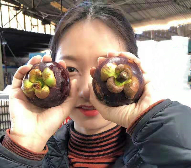 山竹为什么种植很多年才结果,最好的山竹多少钱一斤呢