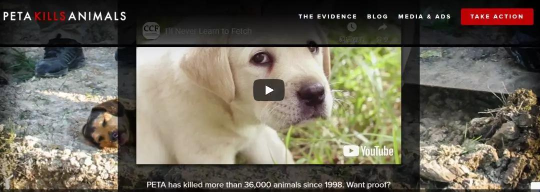 西方政治正确大逃杀:女权、LGBT、黑人谁能吃鸡?