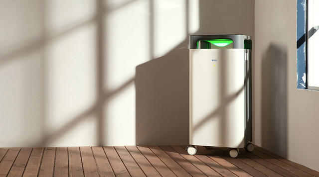 如何消除甲醛对人的危害,担心甲醛危害专家教你除醛小妙招