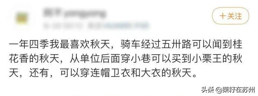 苏州有一条南京路,苏州古城区步行路线